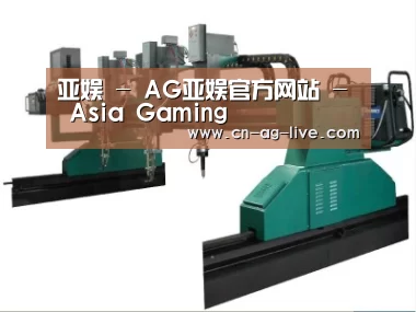 产品名称十一