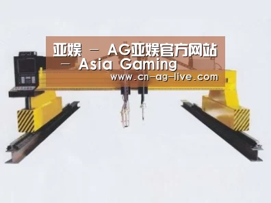 产品名称十七