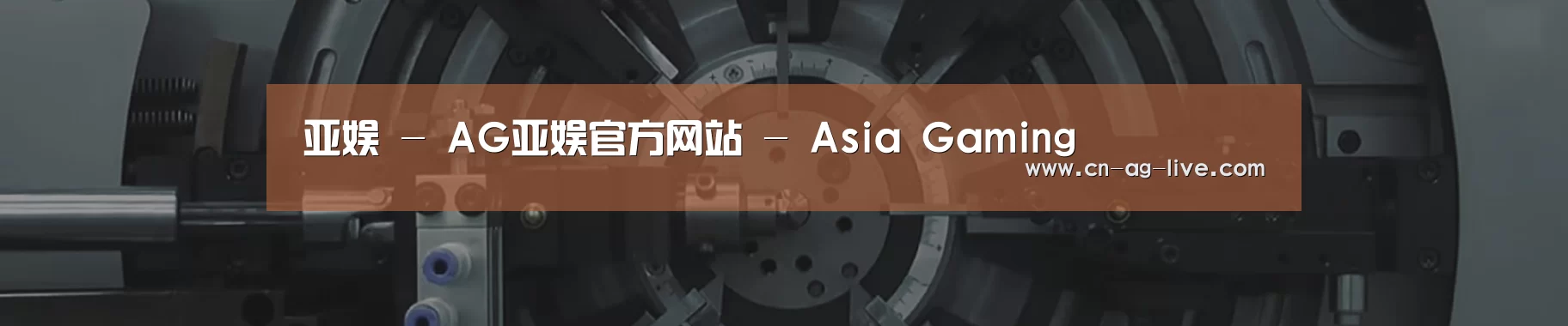 某某机械公司