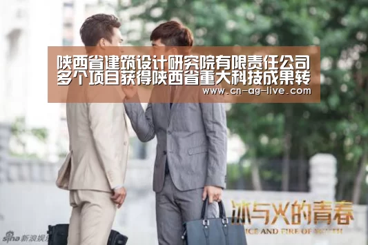 陕西省建筑设计研究院有限责任公司多个项目获得陕西省重大科技成果转化引导专项技术转移项目补助‘ag’(图1)