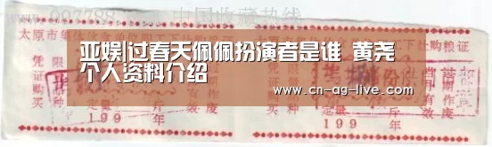 亚娱|过春天佩佩扮演者是谁 黄尧个人资料介绍(图2) ag亚娱